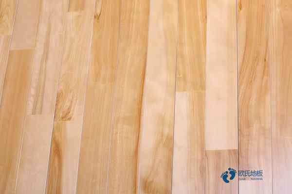 楓樺木運(yùn)動體育地板維護(hù)保養(yǎng)