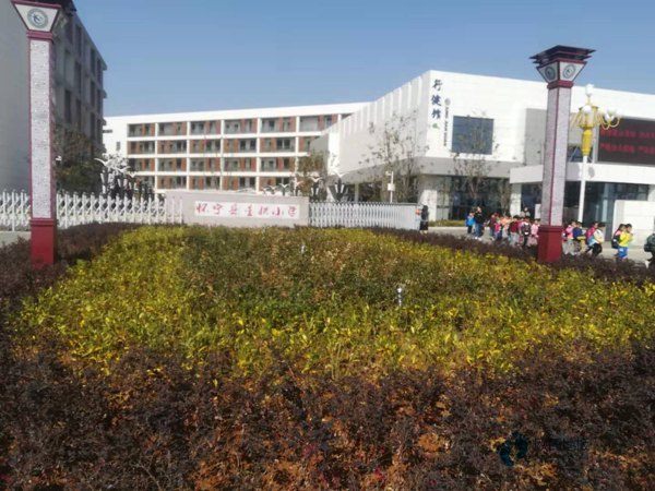 單層龍骨體育運(yùn)動(dòng)木地板3