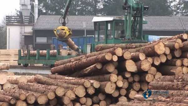 學?；@球場館地板耐磨度3