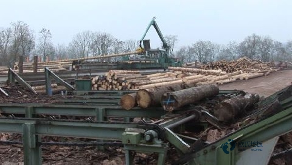 學?；@球場館地板耐磨度2