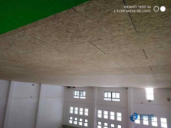 運動實木地板品牌2